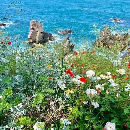 Villa Rosa * Sozopol